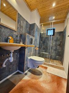 苏利纳Casuta Noastra - Sulina的浴室配有卫生间、盥洗盆和淋浴。