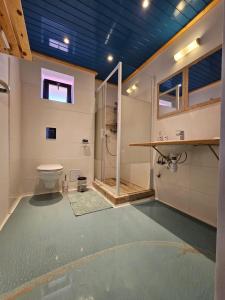 苏利纳Casuta Noastra - Sulina的带淋浴、卫生间和盥洗盆的浴室