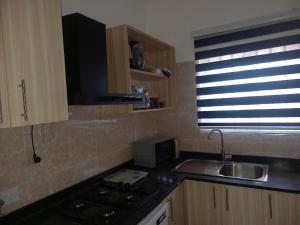 阿克拉KESEWAA's APARTMENT的厨房配有水槽、炉灶和窗户。