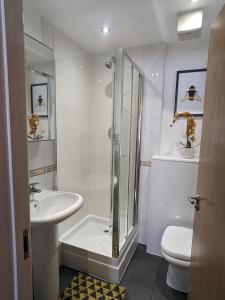 考文垂Beautiful Modern Coventry City Centre Apartment的带淋浴、卫生间和盥洗盆的浴室