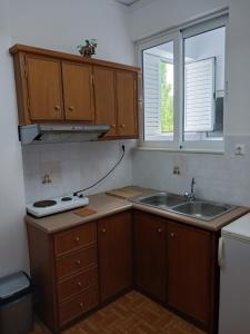 纳克索乔拉P&G APARTMENTS的厨房配有木制橱柜、水槽和窗户。