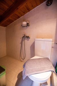 耶拉基尼Delmare Olive beach house I的一间带卫生间和淋浴的浴室