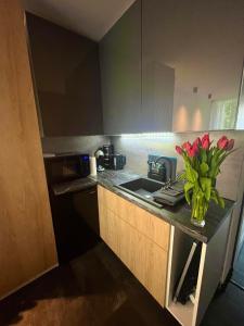乌斯特龙Apartament Ustroń的厨房配有水槽和花瓶,位于柜台上