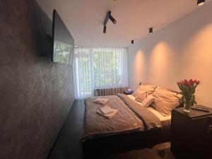 乌斯特龙Apartament Ustroń的一间卧室设有一张床和一个窗口