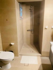 雅典Konstantine suite byArtistUnknown的带淋浴和卫生间的浴室