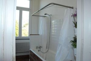 BeloeilPetit château à la campagne.的带淋浴和浴帘的浴室