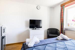 胡丁厄Quiet Rum in Swedish villa的一间卧室配有一张床、一台电视和一把椅子