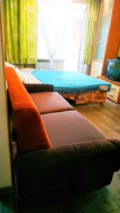 第聂伯罗2кімнатні апартаменти район Даффі的客厅配有2张沙发和1张床