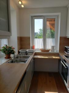 萨尔瓦尔Berkenye Pihenőház的厨房设有水槽和窗户。