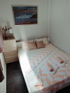斯维蒂尤拉伊Mobile home Aurora的一间卧室配有一张大床和两条毛巾