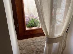 图里Donna Maria的窗帘和花盆的窗户