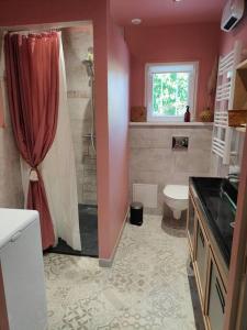 沙托雷纳尔Dolce Vita en Provence的带淋浴和卫生间的浴室。