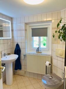 SaupsdorfNaturhof Kluge的一间带卫生间、水槽和窗户的浴室