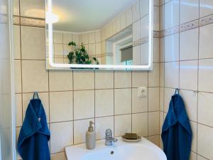 SaupsdorfNaturhof Kluge的一间带水槽和镜子的浴室