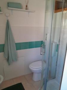 拉泰尔扎casa vacanza con terrazza的一间带卫生间和淋浴的浴室