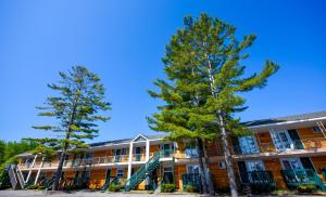 麦基诺城Mackinac Lodge的前面有两棵树的建筑