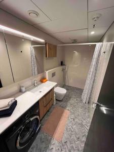塔林Amazing High-Rise 1BR with 11th Floor Views的一间带水槽和洗衣机的浴室