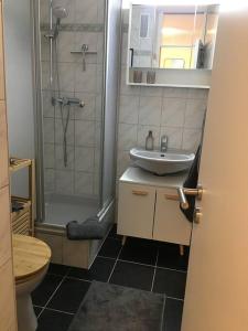 勒芬根Gemütliches Apartment mit wundervollem Weitblick的一间带水槽、淋浴和卫生间的浴室