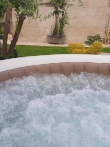 MontsGite de charme au bord de l'Indre avec jacuzzi的院子里装满水的热水浴池