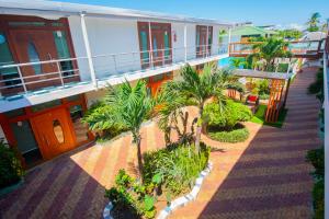 巴克里索莫雷诺港Blue Marlin Hotel的棕榈树建筑的空中景观