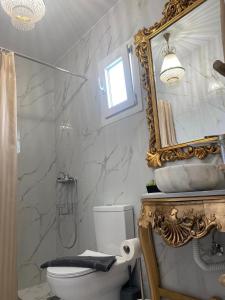 米克诺斯城米克诺斯城秘密据点乡村民宿的一间带卫生间和镜子的浴室