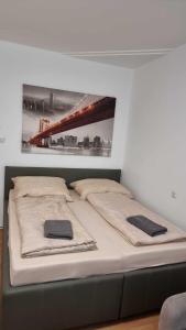维也纳Premier Triple room MZ的一张床上有两个枕头的房间