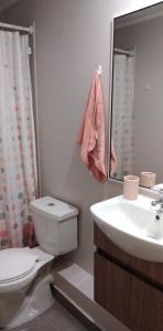 比亚里卡Apartamento Villarrica的一间带卫生间、水槽和镜子的浴室