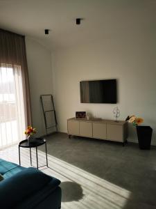 希杰弗朗吉卡JBL的客厅配有沙发和墙上的电视