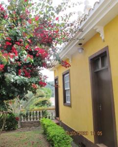 圣本图-杜萨普卡伊Mini Casarão的黄色的房子,有红花树