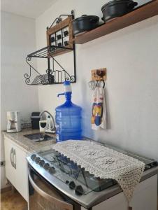 圣本图-杜萨普卡伊Mini Casarão的厨房配有水槽和台面