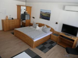 阿尔夫Ferienwohnungen und Appartements - Haus Budinger的一间小卧室,配有一张床和电视