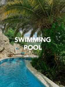 杜布罗夫尼克Sunny Villa, With Pool, BBQ, View, Parking的一个带棕榈树和游泳池标志的游泳池