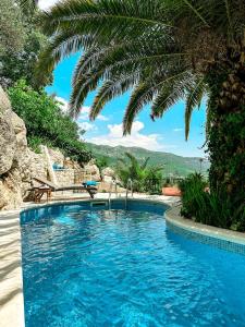 杜布罗夫尼克Sunny Villa, With Pool, BBQ, View, Parking的棕榈树度假村内的游泳池