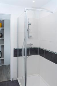 沙特尔Les Toits de Chartres - 2 appt - Parking gratuit的浴室设有玻璃淋浴间,拥有白色的墙壁