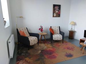 阿纳姆Medina B&B hartje Arnhem的客厅配有两把椅子和地毯。