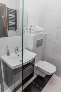 克罗斯诺The Old Townhouse II的白色的浴室设有卫生间和水槽。