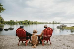 Killaloe StationLakepoint Cottage Resort的两个人和一只狗坐在湖边的椅子上