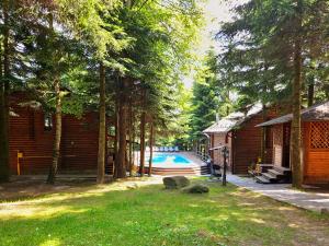 米戈韦Gostynniy Dvir Коттеджи的一个带房子和游泳池的庭院