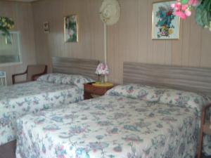 旧奥查德比奇Patras Grand Beach Motel的一间卧室配有两张床和一张带台灯的桌子