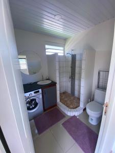 TaravaoJorsen House Tahiti 2 : bungalow confortable的一间带卫生间和水槽的小浴室