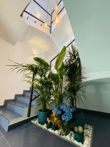 巴达霍斯Apartamentos BRAVO MURILLO con garaje en centro histórico的植物和岩石托盘的楼梯