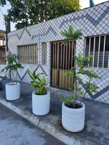 维拉维尔哈Mini Casa independente no bairro Praia das Gaivotas的楼前白盆栽的三棵盆子树