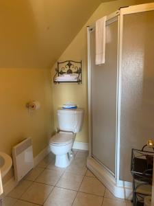 Georgetown布鲁德内尔航道木屋的一间带卫生间和淋浴的浴室