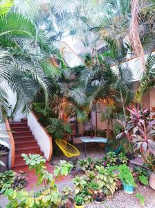 锡瓦塔塔内霍Hotel Villa Tulipanes的一座种植了棕榈树和滑梯的花园