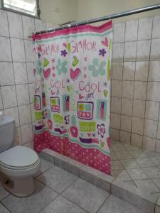 AntónCabañas El Valle的设有带卫生间的浴室内的淋浴帘