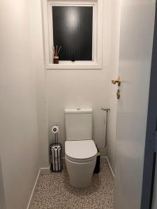 新普利茅斯Townhouse on Courtenay的浴室设有白色卫生间和窗户