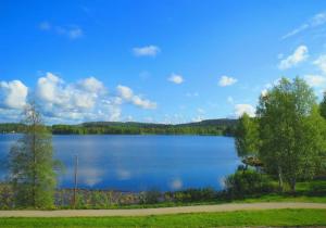 努尔梅斯Retrohenkinen kaksio Nurmeksen keskustassa.的享有绿树成荫的大型蓝色湖泊美景。