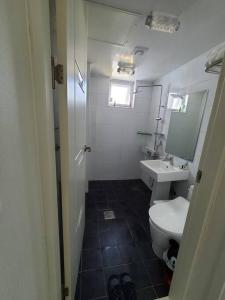 济州市Cozy House & Tour的一间带卫生间和水槽的小浴室