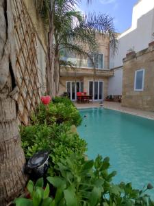 KirkopThe Luxury Home - Next to airport!的棕榈树屋前的游泳池