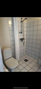 Fæbæk韦吉斯卡拉戈登酒店的白色的浴室设有卫生间和淋浴。